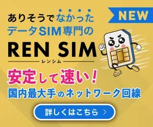REN SIM -レンシム