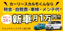 おトクにマイカー 定額カルモくん