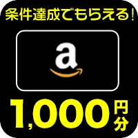 SKYFLAG プレゼント(無料登録後、7日以内に広告利用でのPT獲得)