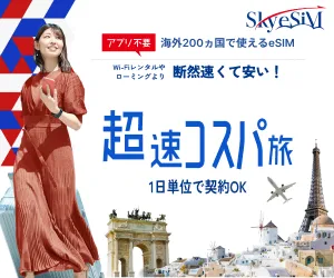 SkySiM(スカイシム)