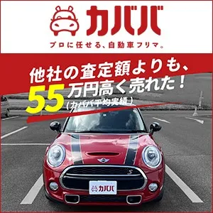 カババ 新規出品確定