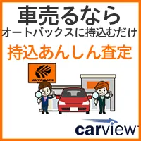 カービュー(みんカラ)来店査定