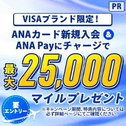 三井住友カード ANA VISA プラチナプレミアムカード