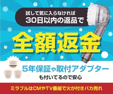 ミラブルオンライン
