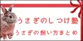 うさぎのしつけ塾 5500円コース