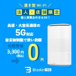 BizAir