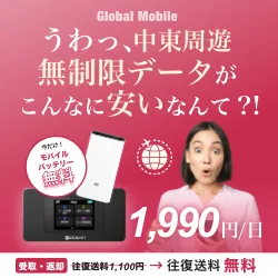 中東周遊レンタルWiFiルーター 中東データ