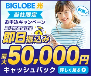 ビッグローブ光(株式会社アウンカンパニー)