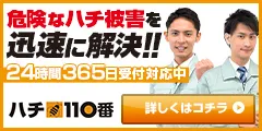 ハチ110番