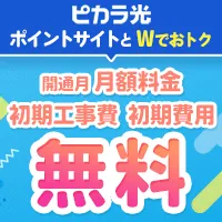 ピカラ光（株式会社NEXT）