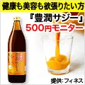 豊潤サジー 500円モニター