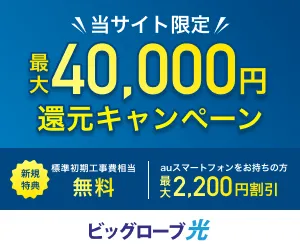 BIGLOBE光(株式会社Wiz)