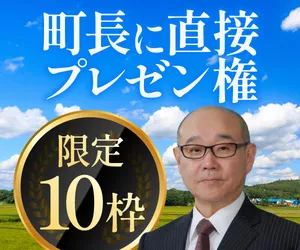 TOKKEN(町長にプレゼンできる権利)