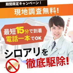 街角害虫駆除相談所 シロアリ