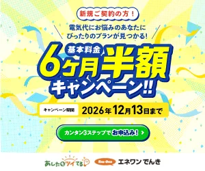 エネワンでんき