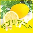 サプリマニア(5500円コース)(au)