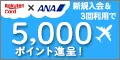 楽天ANAマイレージクラブカード