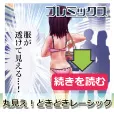 プレミックス（月額8800円コース）（au）