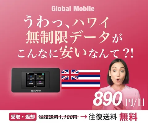1日690円~ ハワイ専用レンタルWiFi 申込