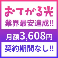 おてがる光