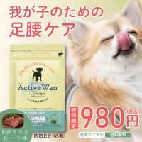 Active Wan(アクティブワン)