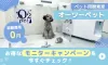 ペット用酸素室 オーツーチャージ
