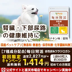 犬用サプリ 毎日腎活 活性炭&ウラジロガシ (定期商品)