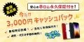 ハピネスネット