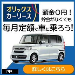 オリックスカーリース