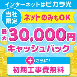 ピカラ光.com