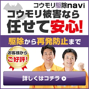 コウモリ駆除navi