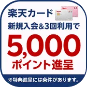 SKYFLAG 10日程度付与 楽天カード(新規カード発券完了)
