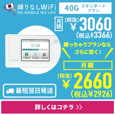 縛りなしWiFi