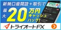 インヴァスト証券 トライオートFX