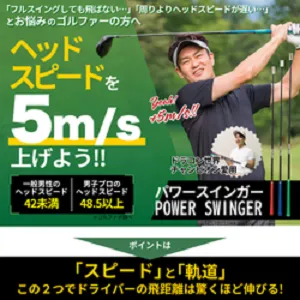 パワースインガー