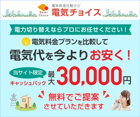 現金キャッシュバック 電気チョイス