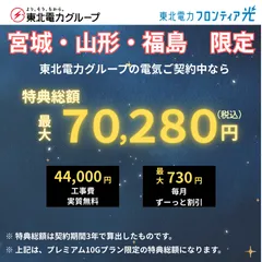東北電力フロンティア光