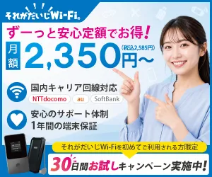 それがだいじWi-Fi 30GBプラン(縛りあり)新規開通