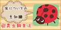 昆虫飼育法 5500円コース