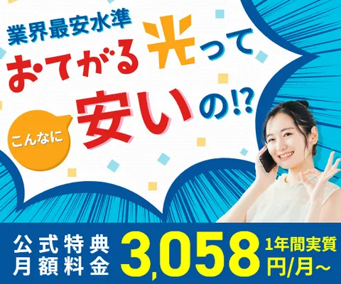 複雑な条件なし 契約期間しばり無し光回線＋ おてがる光