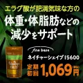 ネイチャーシェイプ