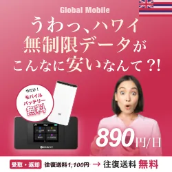 ハワイ専用レンタルWiFiルーター アロハデータ
