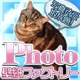 Photo壁紙ファクトリー (550円コース)