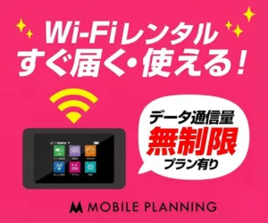 国内wifiレンタル NETAGE
