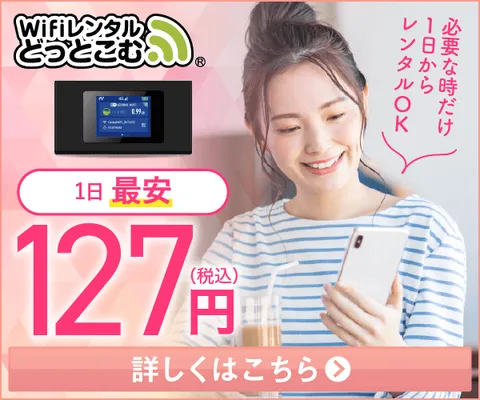 WiFiレンタルどっとこむ