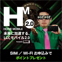HORIE MOBILE(ホリエモバイル)