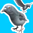 ハトジャンプ