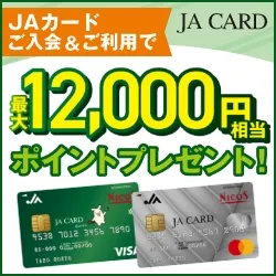 JAバンクのクレジットカード JAカード