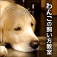わんこの飼い方教室(5500円コース)(au)